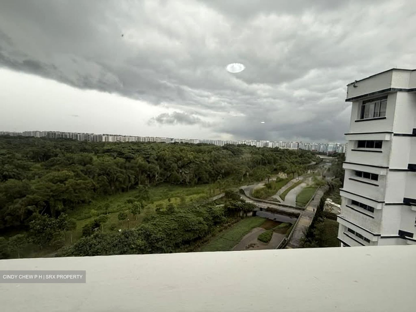 Blk 496D Tampines Avenue 9 (Tampines), HDB 5 Rooms #576090051